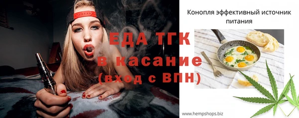 индика Кулебаки